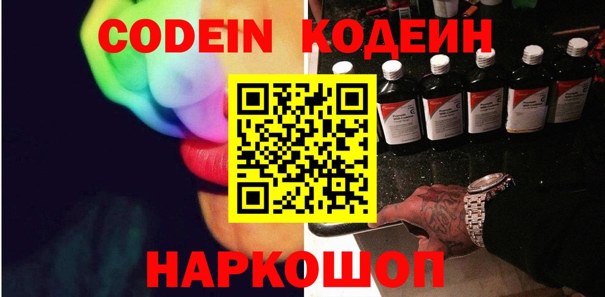 МЕФ Кингисепп