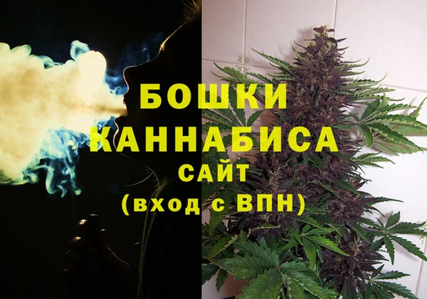 ешки Кодинск