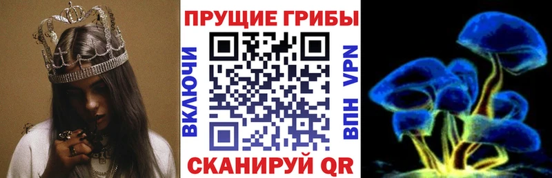 Галлюциногенные грибы GOLDEN TEACHER  Кингисепп 