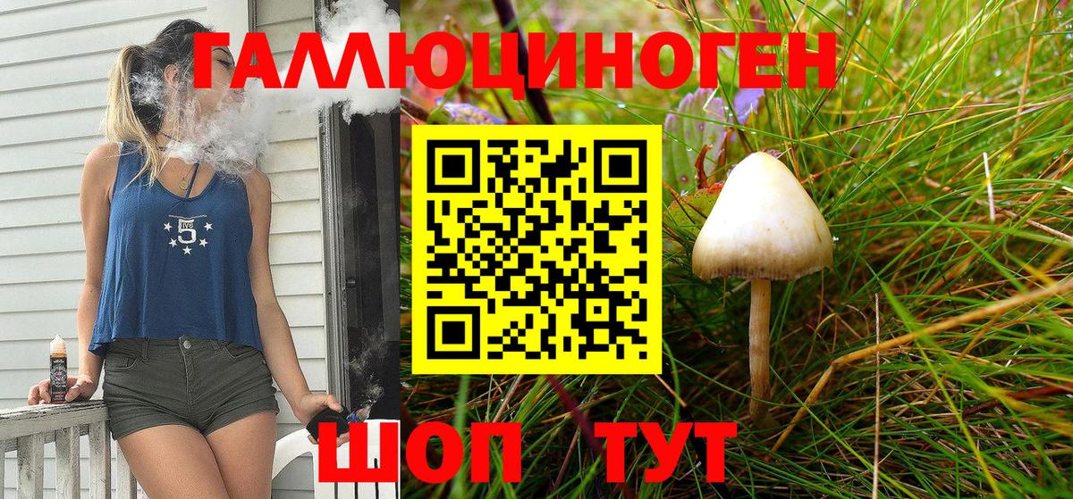 Псилоцибиновые грибы GOLDEN TEACHER Кингисепп