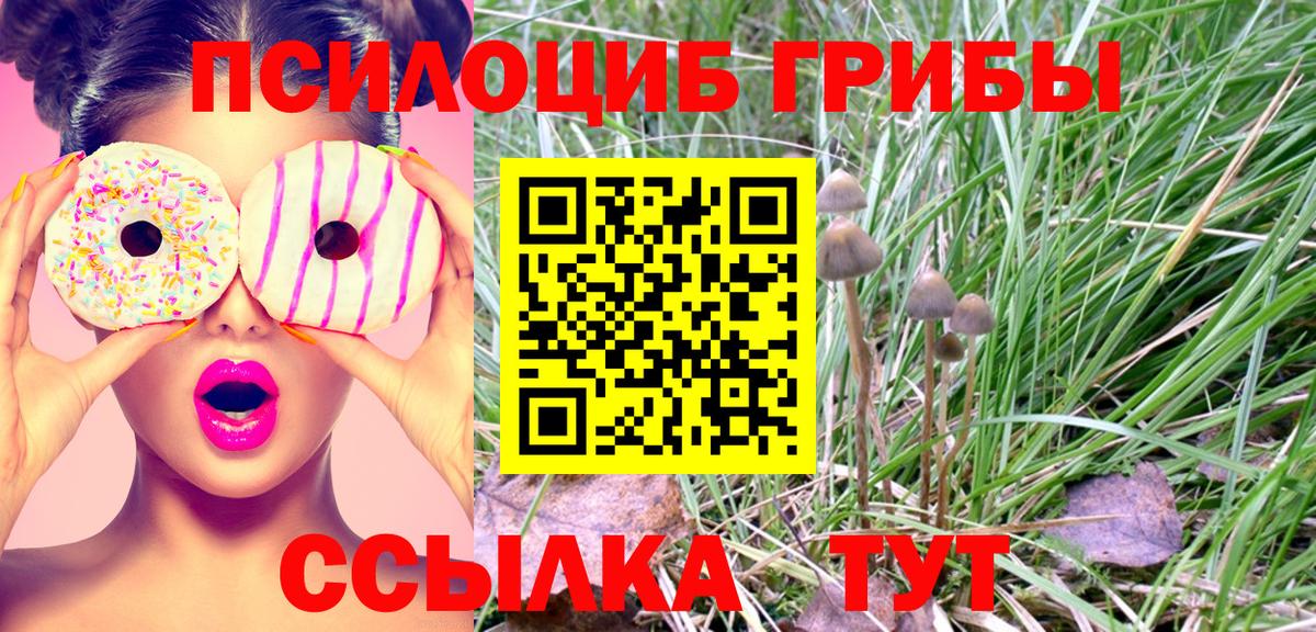 Галлюциногенные грибы MAGIC MUSHROOMS  Вход с VPN  Кингисепп  Псилоцибиновые грибы GOLDEN TEACHER 
