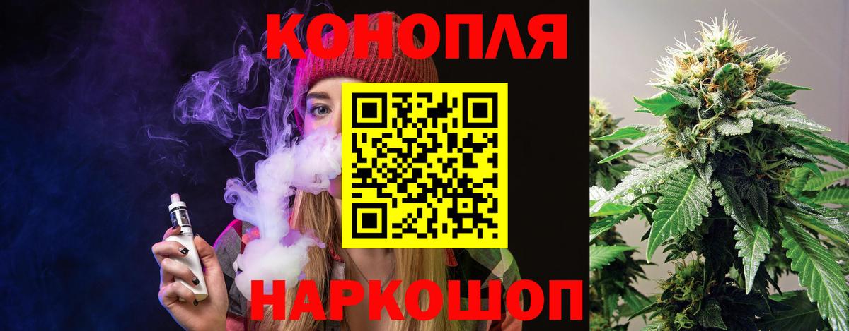 Каннабис план Кингисепп