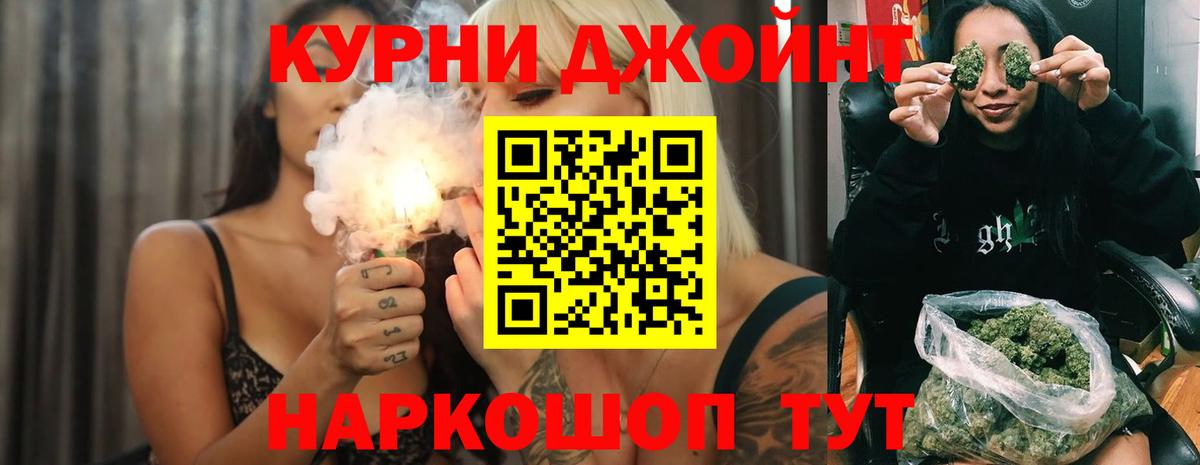 Конопля Кингисепп